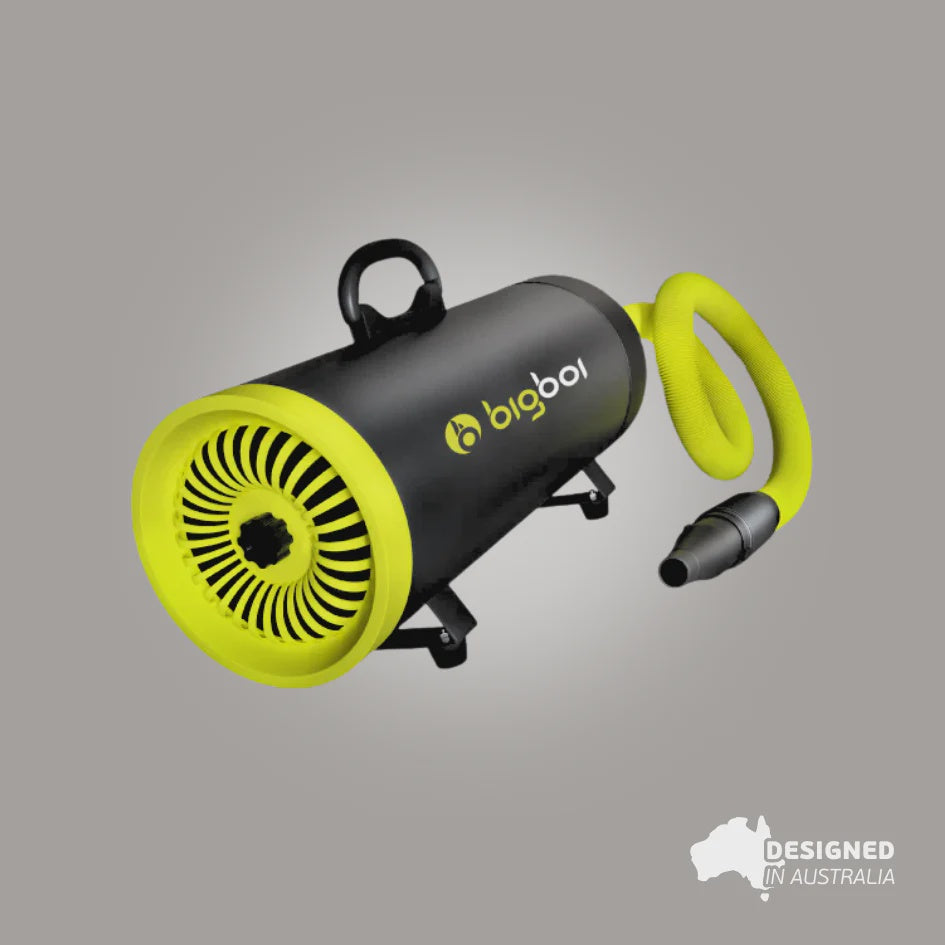 BIGBOI BLOWR MINI+